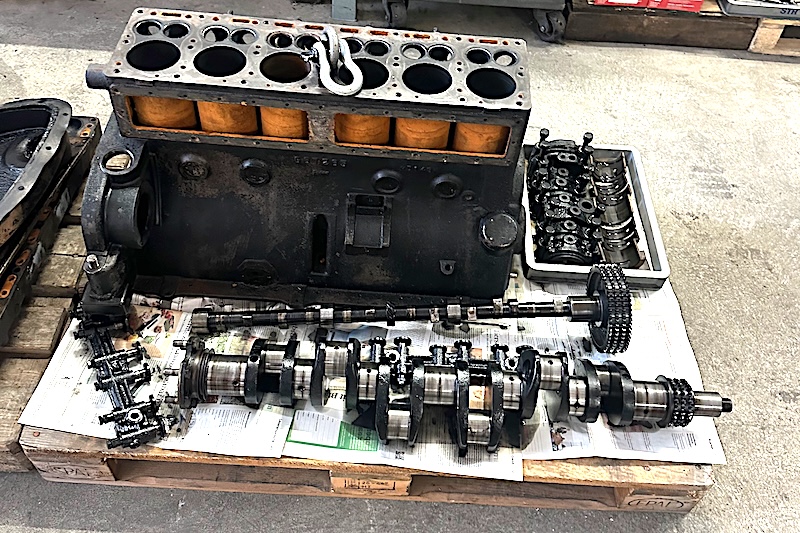 Artikelbild The second spring is coming - in spring